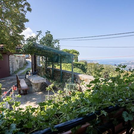 Violet'S Place Crni Kal Экстерьер фото
