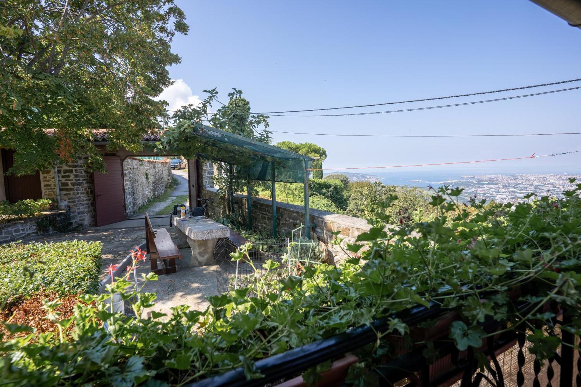 Violet'S Place Crni Kal Экстерьер фото